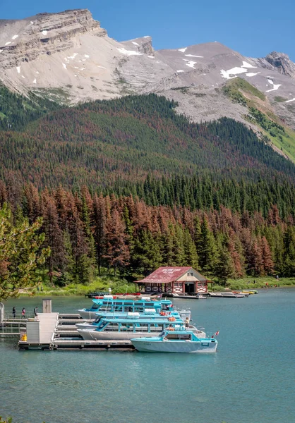 Jasper Alberta Kanada 2018 Július Turistahajók Maligne Tónál Jasper Nemzeti — Stock Fotó