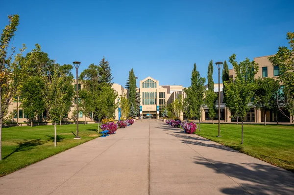 Calgary 'deki Mount Royal Üniversitesi Kampüsü' nün dışındaki binalar..