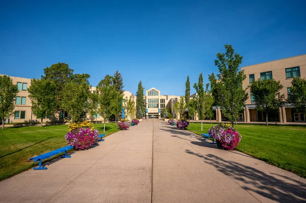 Exteriér Budov Univerzitním Kampusu Mount Royal Calgary — Stock fotografie