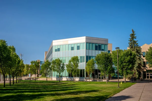 Calgary Alberta Září 2020 Bissettova Obchodní Škola Mount Royal University — Stock fotografie