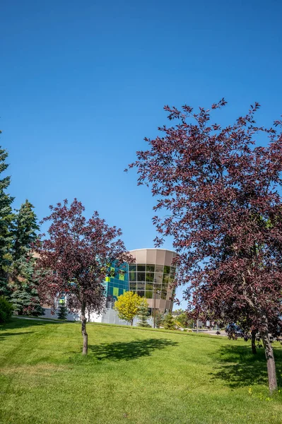 Exteriör Byggnader Mount Royal University Campus Calgary — Stockfoto