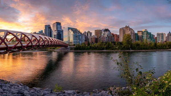 Gün doğumunda Calgary Alberta 'daki Bow Nehri üzerindeki yaya köprüsünün görüntüsü..