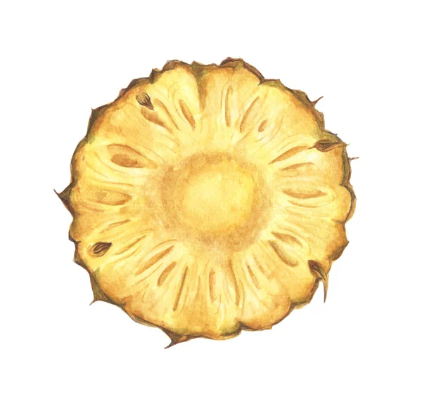 Skiva Färsk Ananas Handritad Akvarellmålning Isolerad Vit Bakgrund — Stockfoto