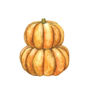 İki istiflenmiş balkabağı. Beyaz arka planda elle çizilmiş suluboya boyama.