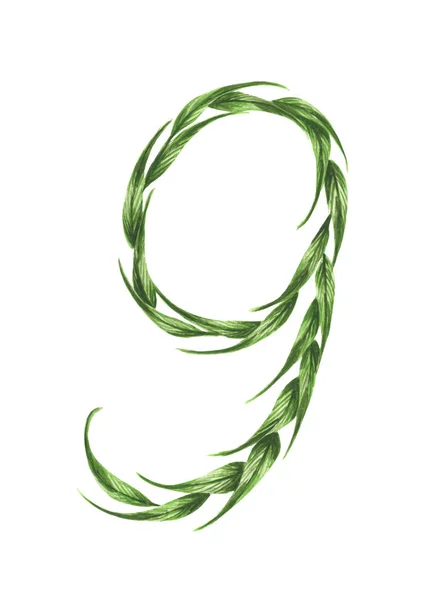 Νούμερο Αλφάβητο Πράσινα Φύλλα Αριθμοί Από Φύλλα Που Απομονώνονται Λευκό — Φωτογραφία Αρχείου