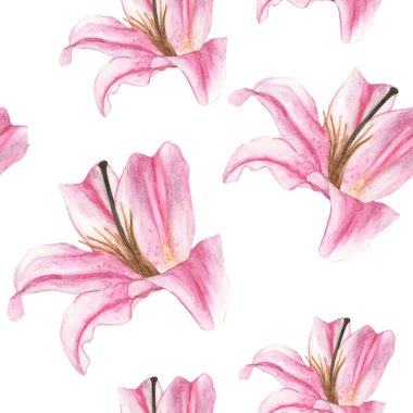 Beyaz arka planda pembe zambaklar olan kusursuz bir desen. Suluboya çizimi.