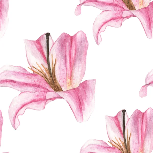 Sömlöst Mönster Med Rosa Liljor Vit Bakgrund Akvarell Illustration — Stockfoto