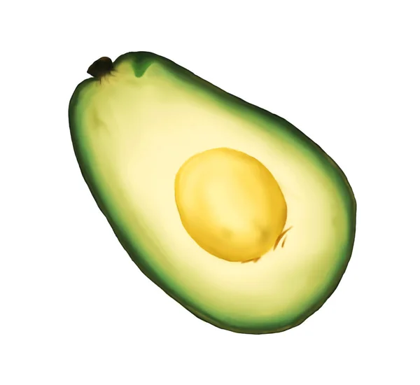 Half Avocado Fruit Geïsoleerd Witte Achtergrond Handgeschilderde Illustratie — Stockfoto