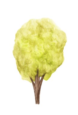 Beyaz arkaplanda ağaç, suluboya resim