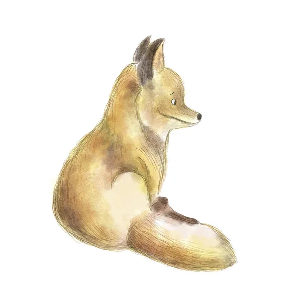 可爱的狐狸 白色背景上的水彩画 — 图库照片