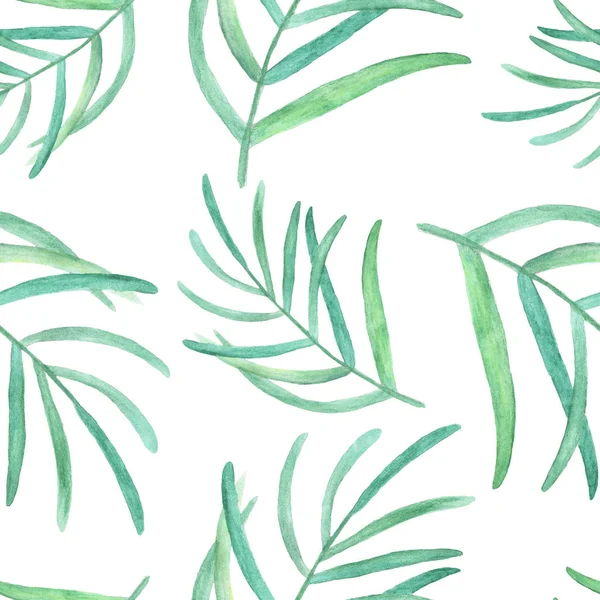 Акварель Тропических Листьев Пальмы Бесшовный Узор Белом Фоне — стоковое фото