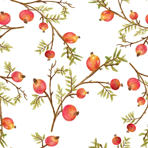 Varrat Nélküli Akvarell Gránátalma Minta Botanikai Háttér Zöld Levelek Gyümölcsök — Stock Fotó