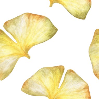 Beyaz arkaplanda suluboya ile sonbahar ginkgo yaprağı ile kusursuz desen