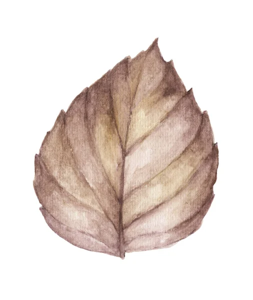 Watercolor Illustration Autumn Leaf Isolated White Background — Stock Photo, Image