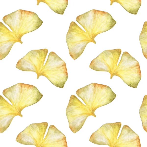 Seamless Pattern Autumn Ginkgo Leaf Watercolor White Background — Stock Photo, Image