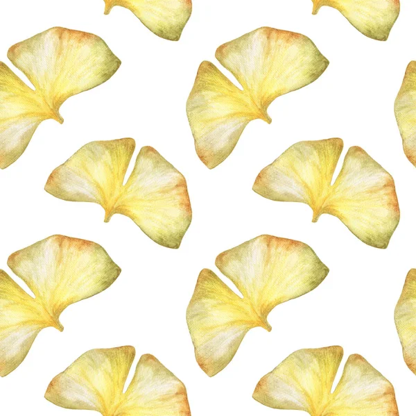 Seamless Pattern Autumn Ginkgo Leaf Watercolor White Background — ストック写真