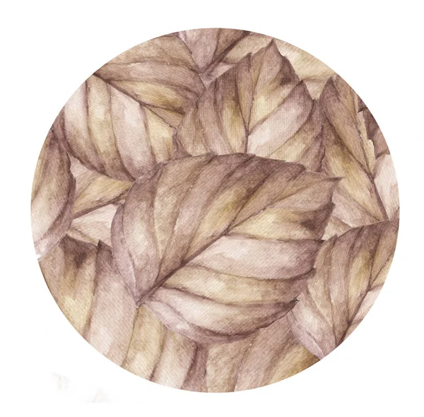 Outono Folhas Coloridas Secas Círculo Isolado Fundo Branco Ilustração Aquarela — Fotografia de Stock