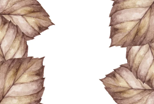 Herfst Frame Met Bruine Aquarel Bladeren Witte Achtergrond Elegant Ontwerp — Stockfoto
