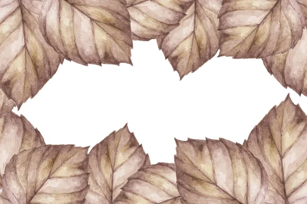 Kahverengi Suluboyalı Sonbahar Çerçevesi Beyaz Arkaplanda Yapraklar Zarif Tasarım — Stok fotoğraf