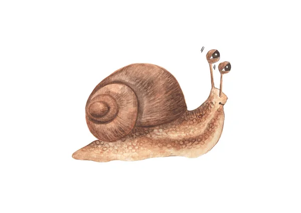 Lovely Little Snail Isolated White Background Watercolor Illustration — Stock Photo, Image