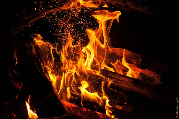Burning Bonfire Close — Stock Photo, Image