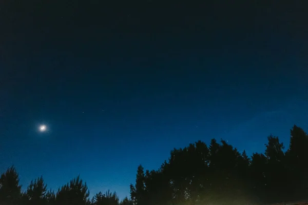 Céu Noturno Com Lua Nova Árvores Escuras — Fotografia de Stock