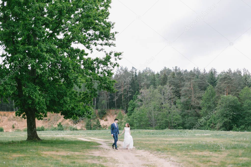 Stylish couple of newlyweds on their wedding day. Happy young bride, elegant groom walking away holding hands