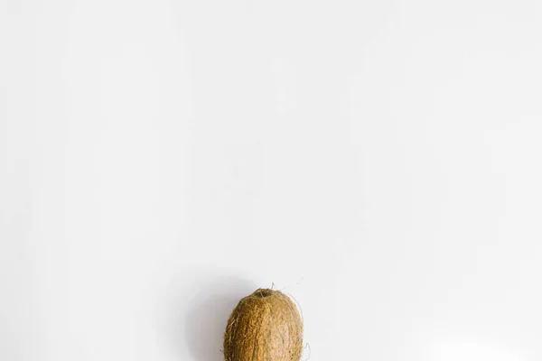 Whole Coconut White Background Flat Lat Top View Copy Space — Stock Photo, Image