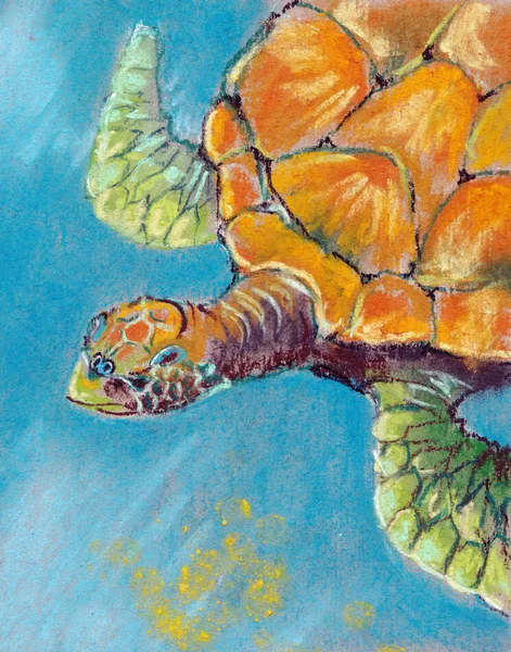 Water Turtle Ocean Drawing Pastel — Stock Photo, Image