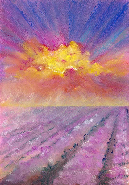 Схід Сонця Над Лавандовим Полем Пейзаж Простором Тексту Або Зображення — стокове фото