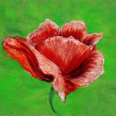 Yeşil arka plan üzerine kırmızı gül çiçeği çizimi