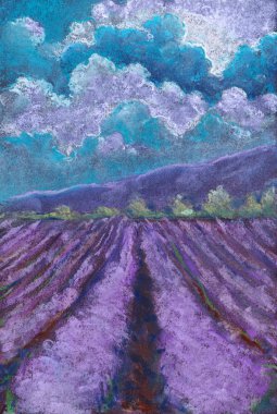 Bir lavanta tarlası. Manzara çizimi. Pastel doku.