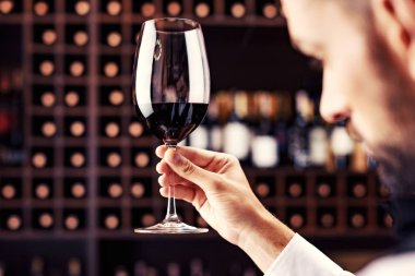 Genç yakışıklı sommelier mahzende kırmızı şarap tadımı, yakın çekim vurdu