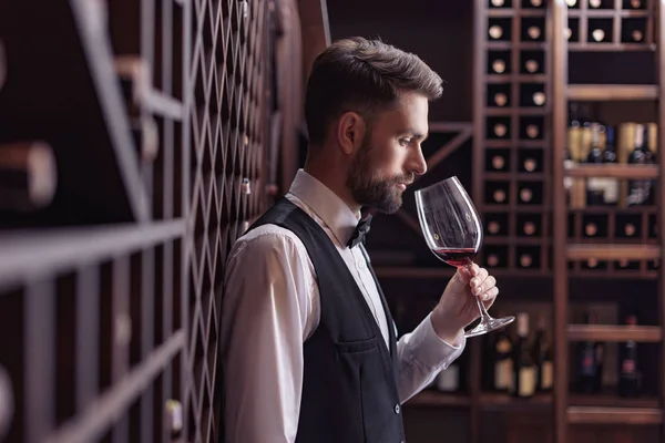 Vista lateral del joven sumiller guapo degustación de vino tinto en la bodega mientras se apoya en los estantes - foto de stock