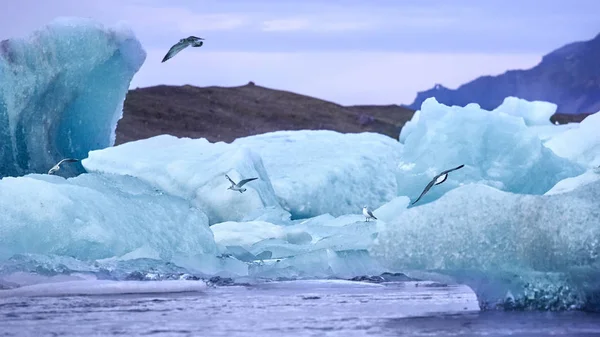 Joekulsarlon Největší Ledovcová Laguna Islandu — Stock fotografie