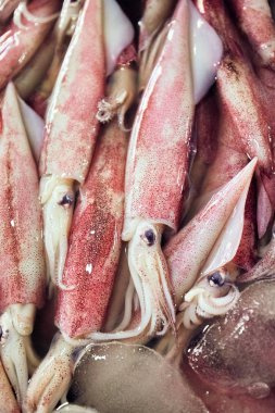 tezgahın üzerine taze mürekkep balığı Balık pazarı