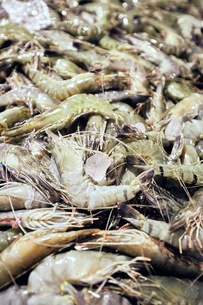 Čerstvé Krevety Rybí Trh Pult — Stock fotografie
