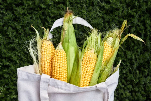 Eco friendly reusable shopping bag made out of recycled sack  filled with green fresh corn. Ecology Concept.