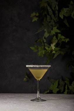 Margarita kokteyli, tuz ve limon dilimli bir bardak garnitür.