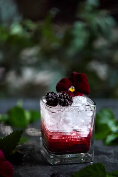 Fresh Summer Drink Delicious Cocktail Based Gin Blackberry Mint Garnish — Stock Photo, Image