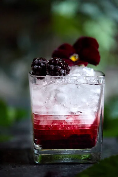 新鲜的夏季饮料 搭配杜松子酒 黑莓和薄荷的美味鸡尾酒 用鲜花和内裤装饰 — 图库照片