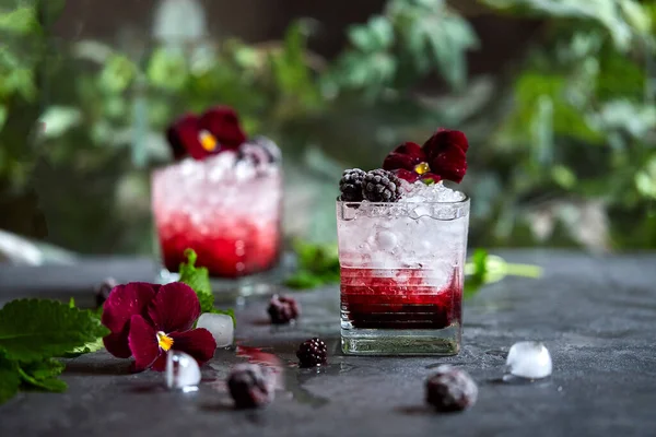 Een Fris Zomerdrankje Een Heerlijke Cocktail Basis Van Gin Bramen Rechtenvrije Stockfoto's