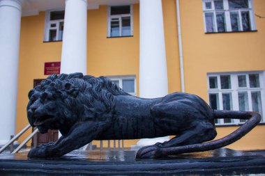 Karelia Cumhuriyeti Ulusal Müzesi yakınlarındaki aslan heykeli.