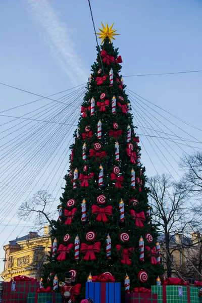 Noel ağacı. St. Petersburg.