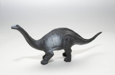 Brachiosaurus dinozor oyuncak beyaz arka plan üzerinde