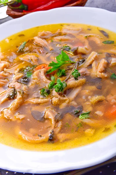 Sopa Tripe Tradicional Estilo Polonês Com Carne Bovina Legumes — Fotografia de Stock