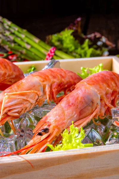 Kokte Argentinrøde Reker Med Salat Isen – stockfoto