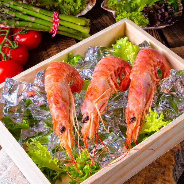Cooked Argentine Red Prawns Salad Ice — Stock Photo, Image