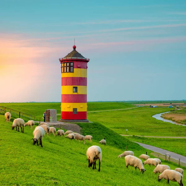 羊と東フリジア海岸にカラフルな灯台 — ストック写真