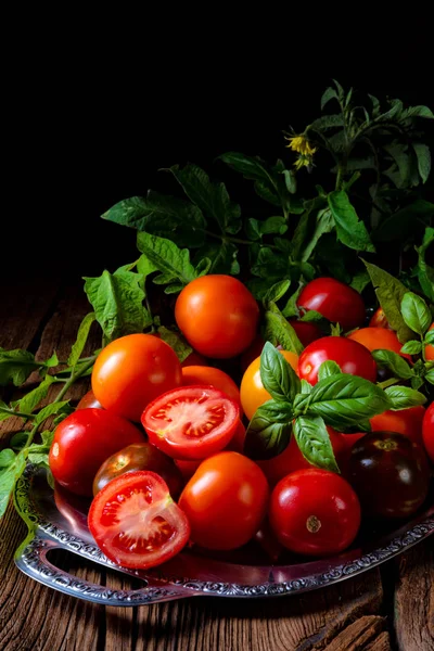 Verschillende Soorten Tomaten Geserveerd Gepresenteerd Met Kruiden Zilveren Schotel — Stockfoto